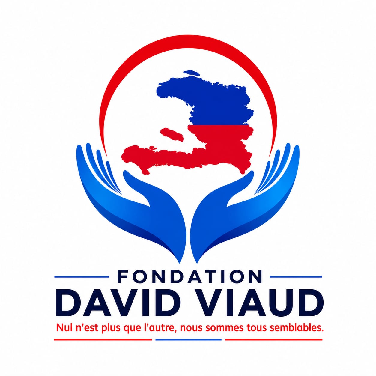 Logo Fondation David Viaud